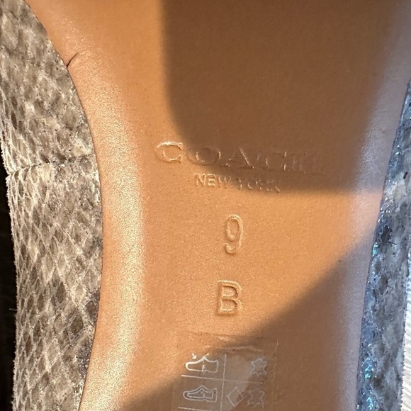 Coach Snakeskin Pumps - Picture 11 of 12